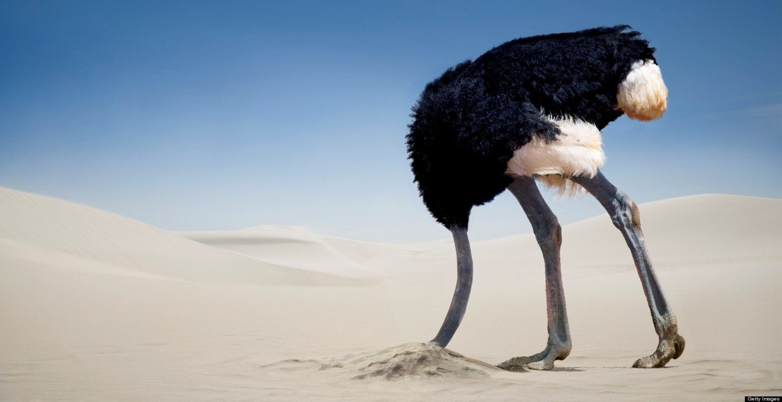Alignement régime indemnitaire administratif logé/non logé Ostrich-in-sand